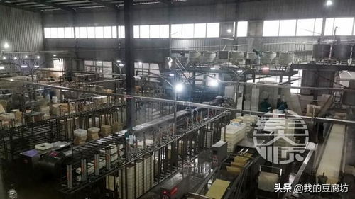 豆制品加工厂选址策略 兼顾生产需求与放射卫生技术服务考量